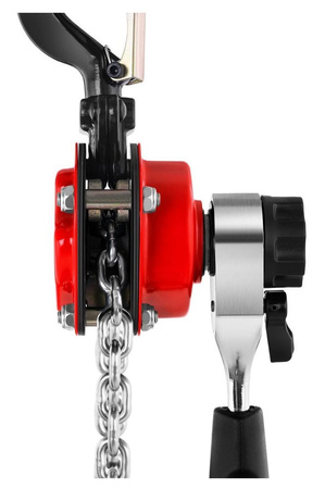 Wciągarka łańcuchowa Steinberg Systems (udźwig: 250 kg, długość łańcucha: 1,5 m) 45674815