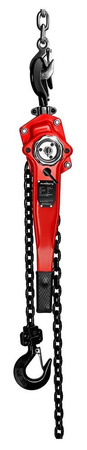 Wciągarka łańcuchowa Steinberg Systems (udźwig: 750 kg, długość łańcucha: 2 m) 45674818