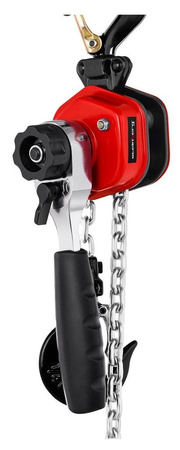 Wciągarka łańcuchowa Steinberg Systems (udźwig: 250 kg, długość łańcucha: 1,5 m) 45674815