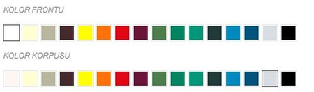 Szafa biurowa z drzwiami skrzydłowymi (wymiary: 1990x1000x435 mm) 00079484