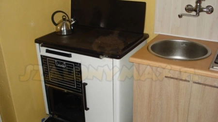 Kuchnia, angielka, moc kuchni/wody: 9,2/3,2kW, Jawor z wężownicą (nieobudowana, kolor: brązowy) - spełnia anty-smogowy EkoProjekt 25980269