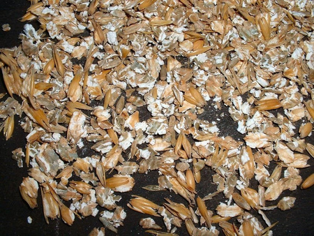 Kaspla, zgniatacz ziarna, gniotownik - dwusilnikowy z silnikami pod spodem (średnica walca: 406mm, szerokość walca: 300mm, moc: 2x 4kW) 08674904